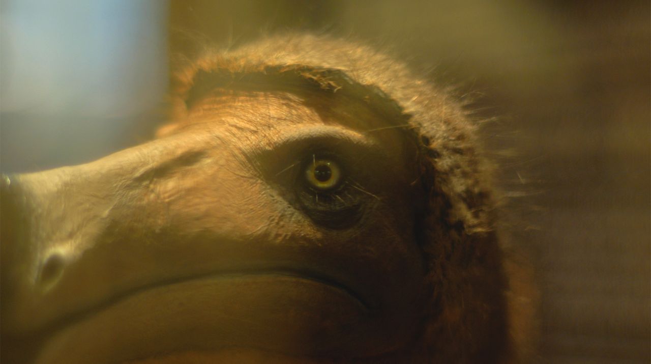 Little, Big, and Far